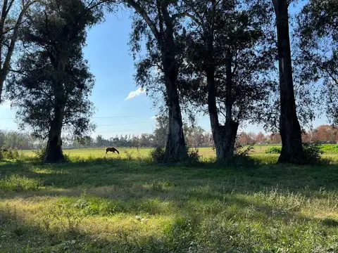 Campo en venta en General Rodriguez