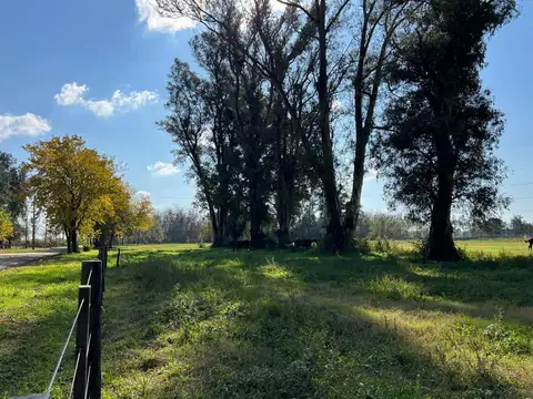 en VENTA, terreno de 10 ha