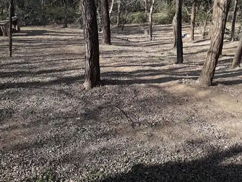 Casa en Venta 50 años