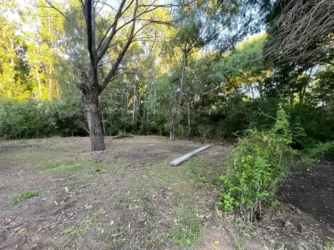 arroyo arroyon