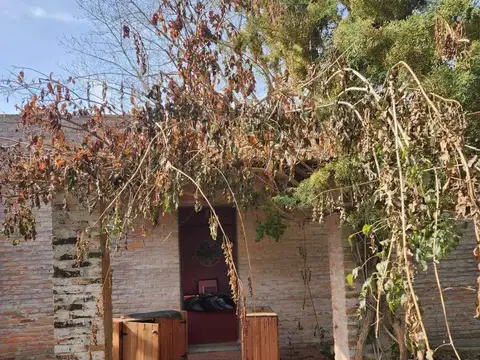 Avenida Valeriano Magri