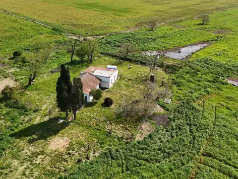 Gral San Martín 600