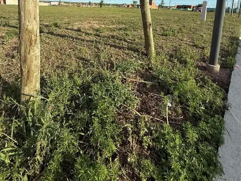 Terreno en Venta de 396,0 m2