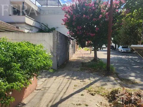 AMEGHINO al 100