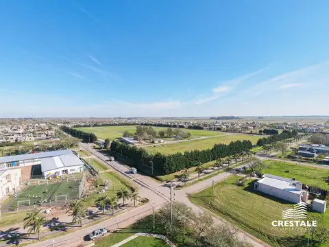 Terreno en Venta 31  mts Fondo