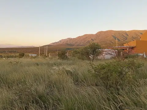 Los Jacarandáes 300