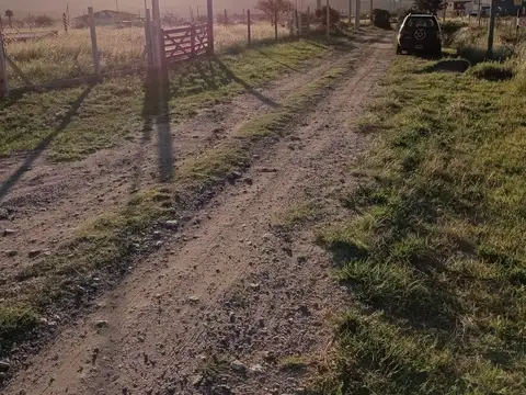 Los Jacarandáes 300