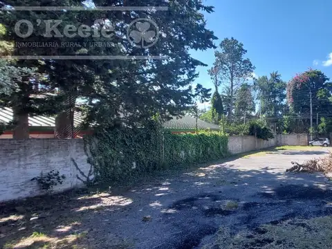 Local en Venta 10 años