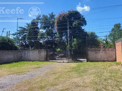 LOCAL COMERCIAL  EN ALQUILER - 300M2- RANELAGH - BERAZATEGUI