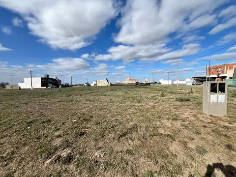 Pampas de manantiales 100