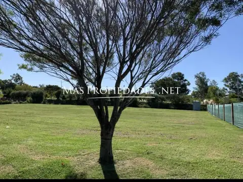 Terreno en Venta 20  mts Fondo