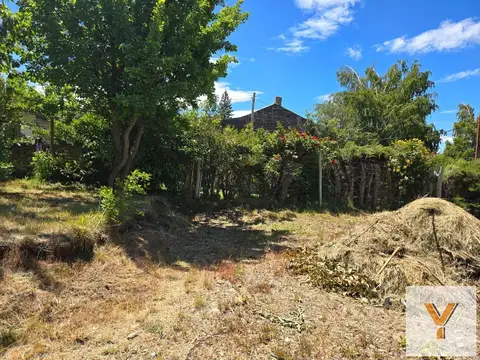 Desalojo del 37 e/ Owen Jones y Avenida Hipolito Yrigoyen