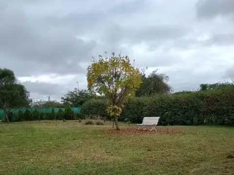 Aguada 100