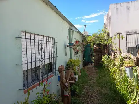 Avellaneda 600