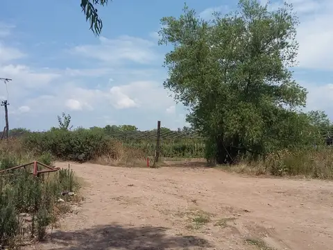 Campo en Venta Industrialización