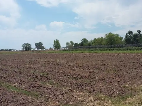 Excelente terreno de 250.000 M 2 en Escobar cerca del centro con terreno alto y plano, tierra negra
