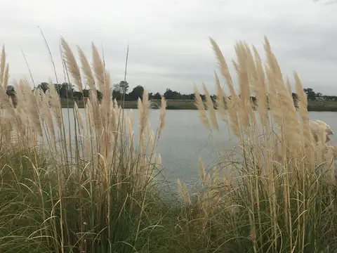 Terreno en Venta de 937,0 m2