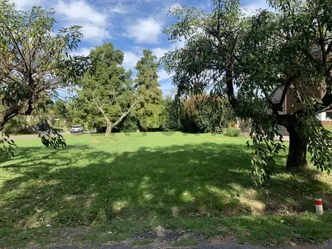 Terreno en Venta 40  mts Frente