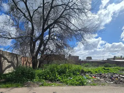 Terreno en Venta de 300,0 m2