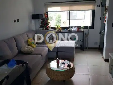 San Mauro 100