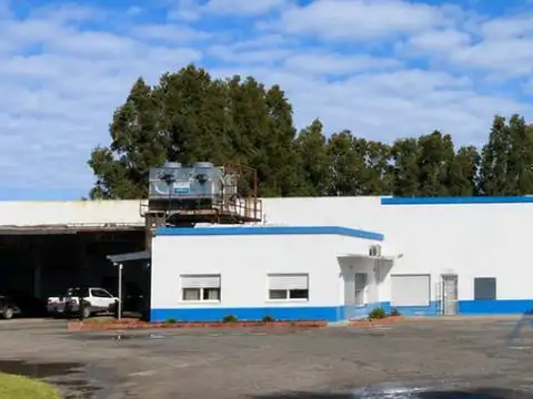 Planta frigorífica exportadora habilitada UE/EE.UU./China en Pehuajó