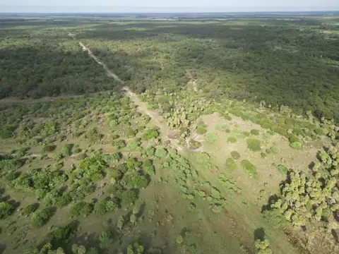 Campo en venta de 1444 has. ubicado en Basail, Chaco