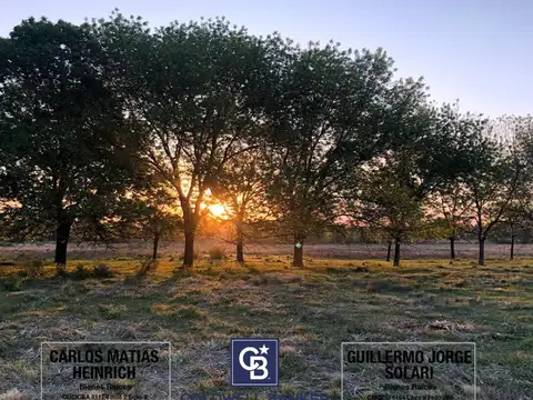 Terreno en Venta 32  mts Frente