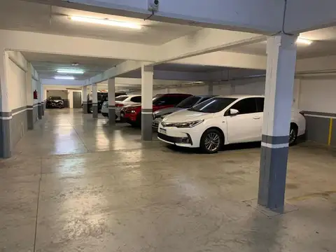 Gavilán 800