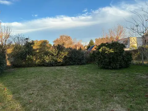 Terreno en Venta 48  mts Fondo