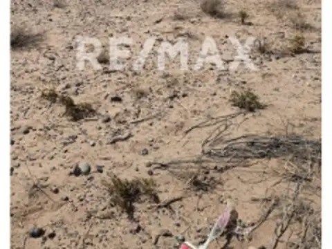 Terreno en Venta en Centenario, USD 8.500