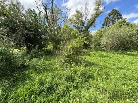 Terreno en Venta 50  mts Fondo