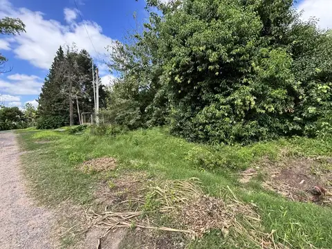 TERRENO EN VENTA – ANDINO