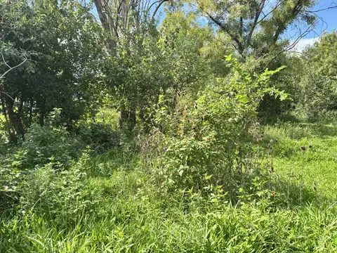 TERRENO EN VENTA – ANDINO