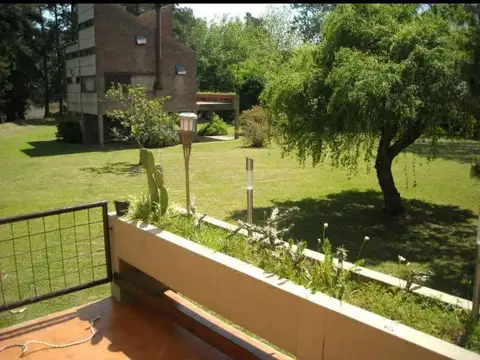 ISLA DELTA ,RIO CARAPACHAY KM 13,5 TIGRE "Las Tarariras"