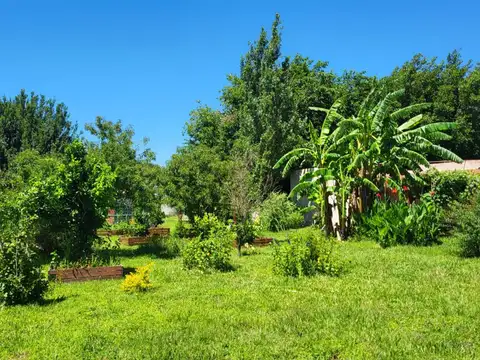 VENTA DE CAMPO RUTA 2, KM 22, 5,6 HECTAREAS