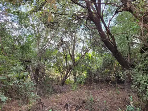 04016 - Banda Norte 100