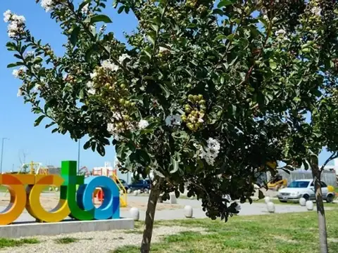 Terreno en Venta en Docta, Countries y Barrios Cerrados en Cordoba Capital