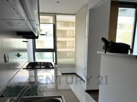 Alquiler departamento 2 Dormitorios Condominio del Alto