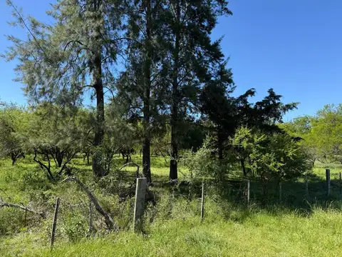 Terreno en Camino de la costa