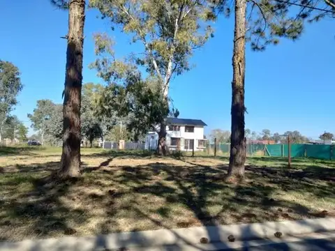ADG. Excelente lote en Nueva Zelaya 1
