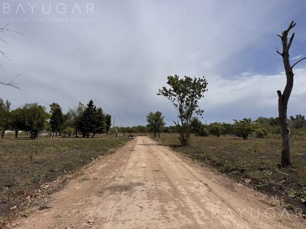 Venta Terreno - 1000 m2 con Escritura - Athos Palma - Pilar