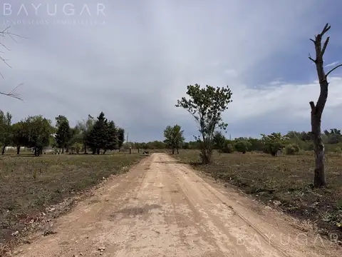 Venta Terreno - 1000 m2 con Escritura - Athos Palma - Pilar