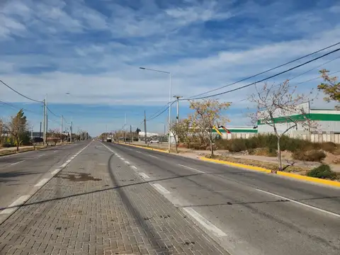 Rodriguez Peña 100