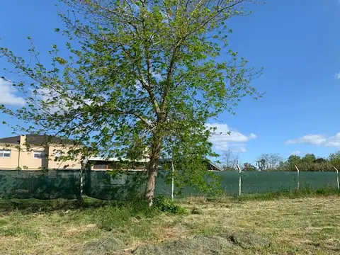 Terreno en Venta en Villa Elisa, USD 55.000