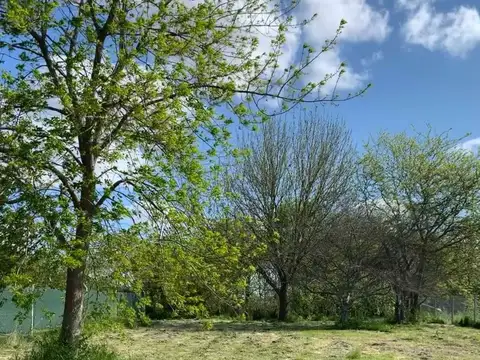 LOTES EN VENTA EN VILLA ELISA