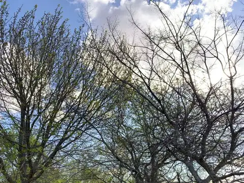 8 entre 404 bis y 406 100