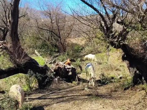 Terreno en Venta en Tafi del Valle, USD 90.000