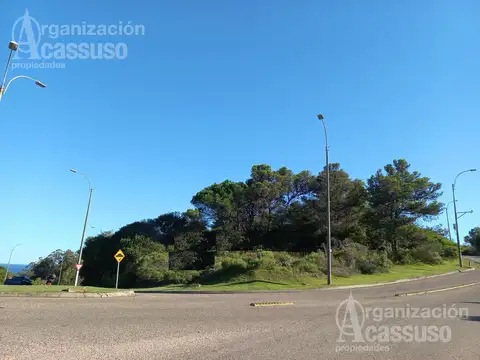 Terreno Punta Ballena Lomo de la Ballena - con proyecto aprobado