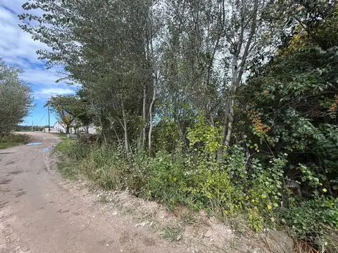 Terreno en Venta de 425,0 m2