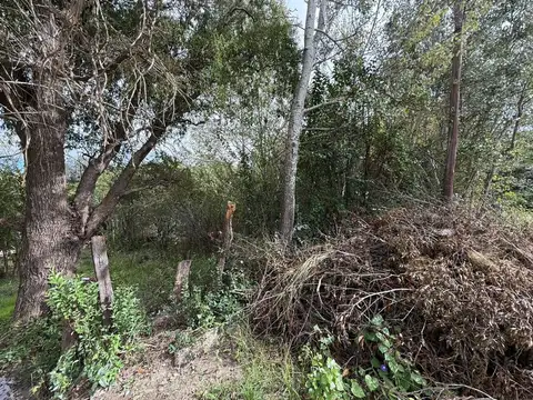 VENTA TERRENO 425 M2. TANTI NUEVO. A MT DEL RIO